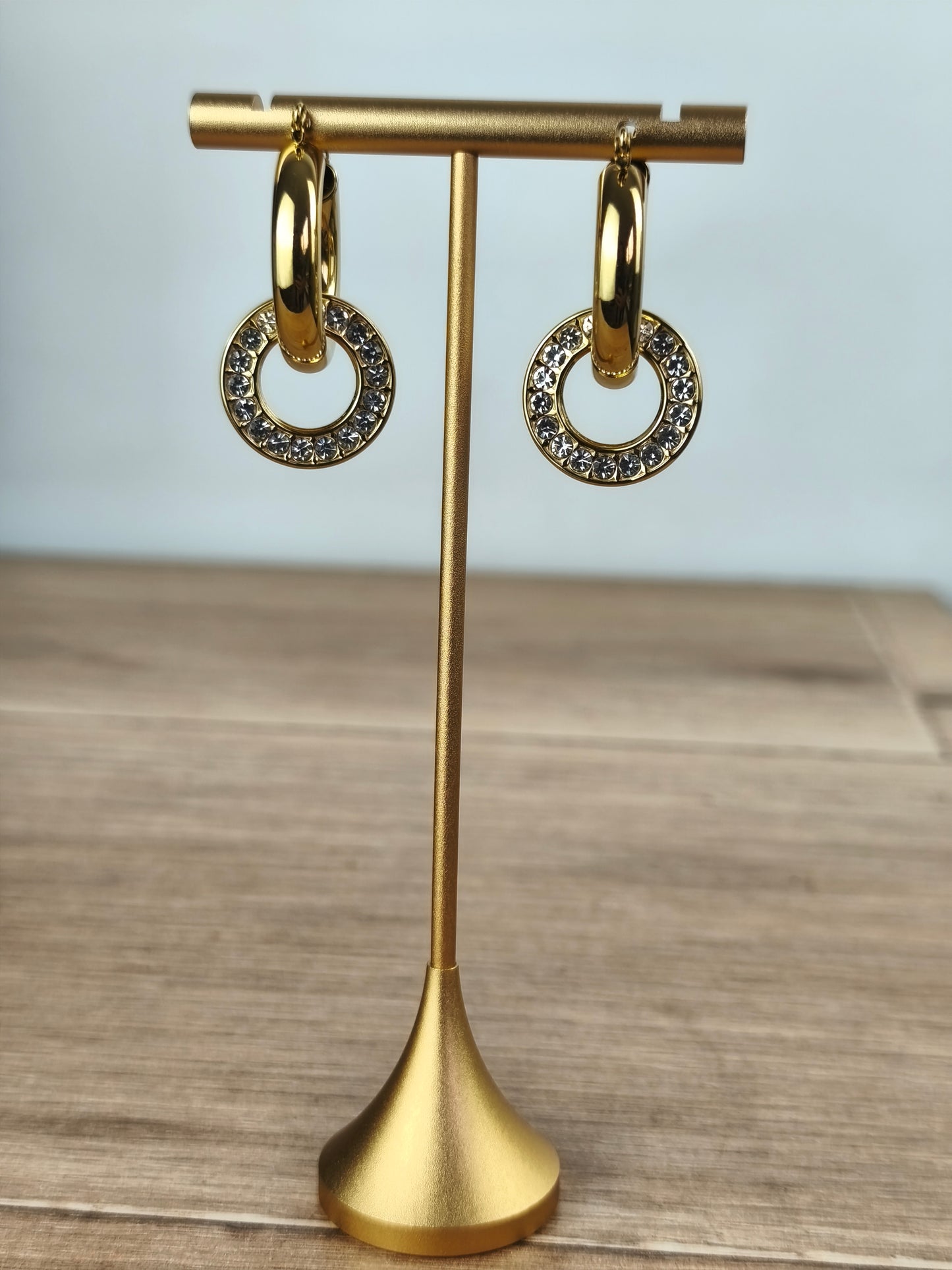 Boucles d'oreilles " Cercle Eclat "