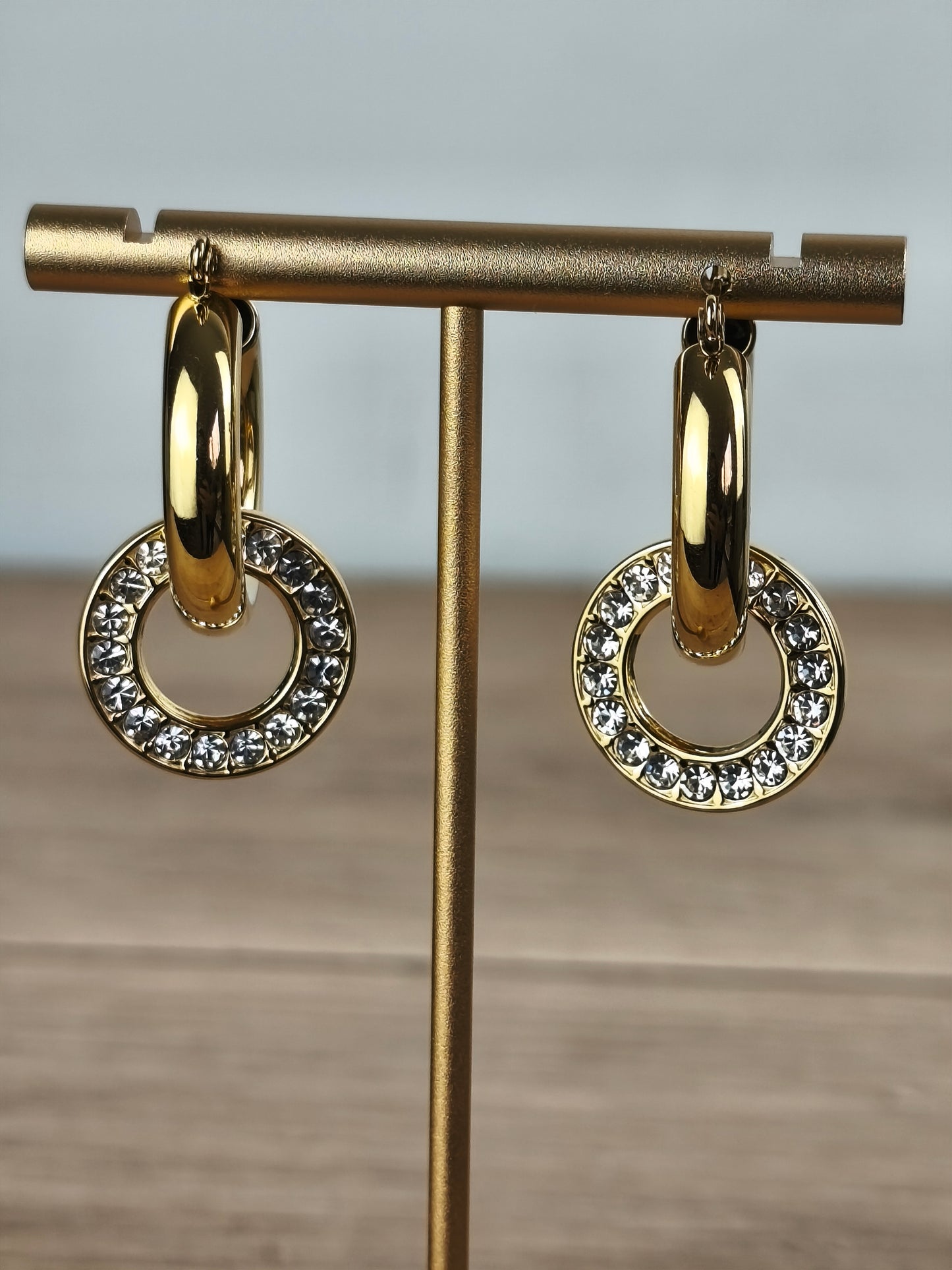 Boucles d'oreilles " Cercle Eclat "